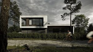 Read more about the article Drana ravida suna evetion mono conse the convallis