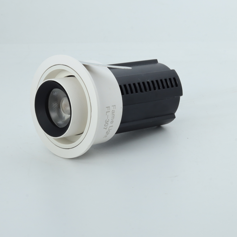 FL-3005 25W